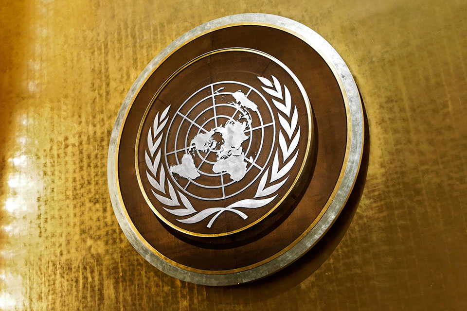Серія Аналітичних довідок ООН