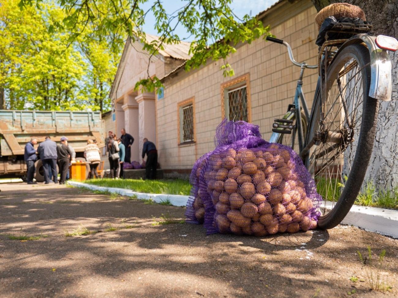Seed potato distribution in Dnipropetrovska oblast, Ukraine