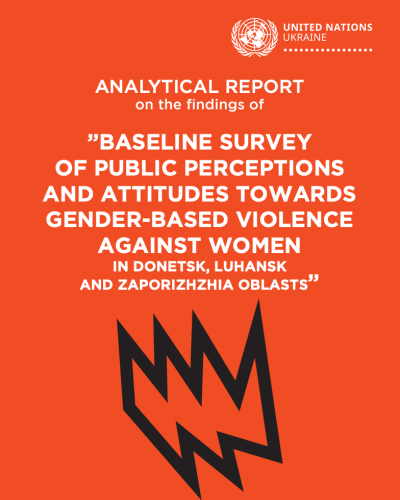 Analytical Report Of The Findings Of The Baseline Survey Of Public ...