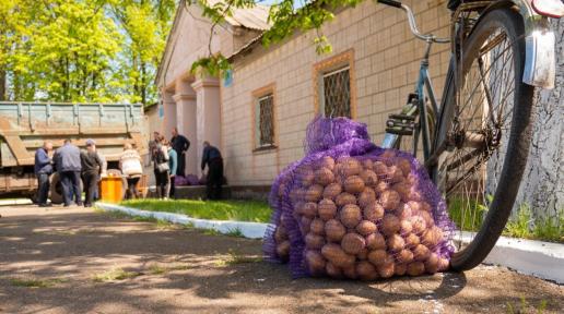 Seed potato distribution in Dnipropetrovska oblast, Ukraine